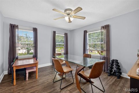 Tiny photo for 700 3rd Street, Troy, MO 63379 (MLS # 26028003)