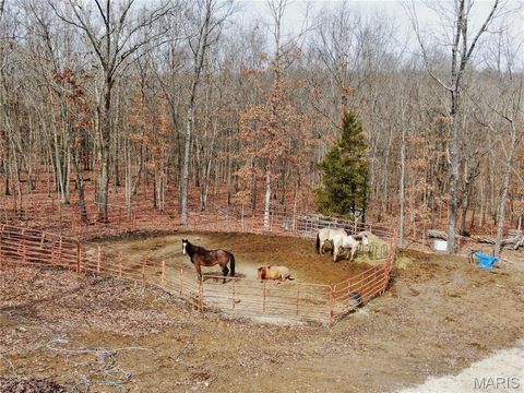 Tiny photo for 21503 Highway 28 W, Dixon, MO 65459 (MLS # 26012686)