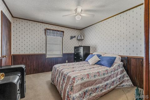 Tiny photo for 17563 Kenton Street, Kennett, MO 63857 (MLS # 26029650)