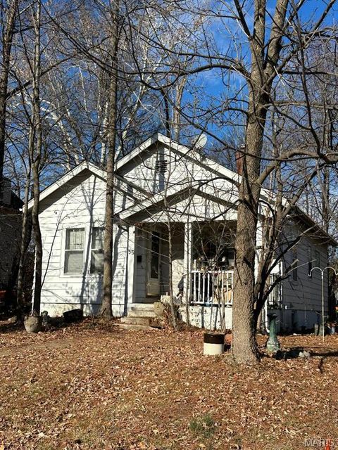 Photo of 55 Chestnut Avenue, Webster Groves, MO 63119 (MLS # 25081474)
