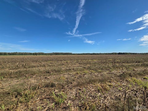 Tiny photo for 1 State Hwy P, Canton, MO 63435 (MLS # 26066857)