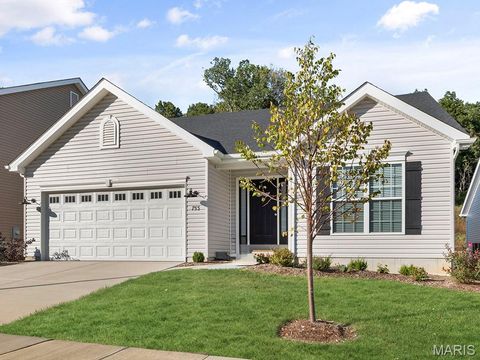 206 Red Fox Court Eureka MO 63025