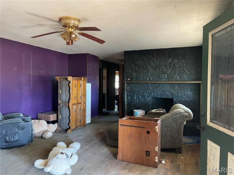 Tiny photo for 361 Wayne 341, Piedmont, MO 63957 (MLS # 26068689)