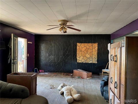 Tiny photo for 361 Wayne 341, Piedmont, MO 63957 (MLS # 26068689)