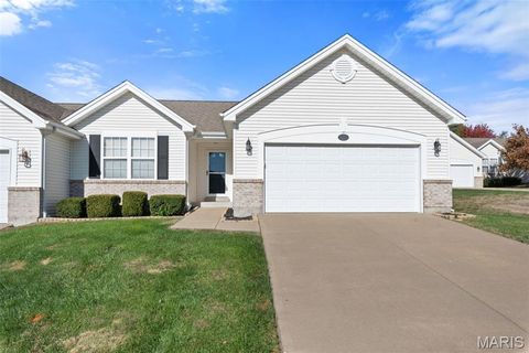 12221 McKelvey Place Drive Bridgeton MO 63044