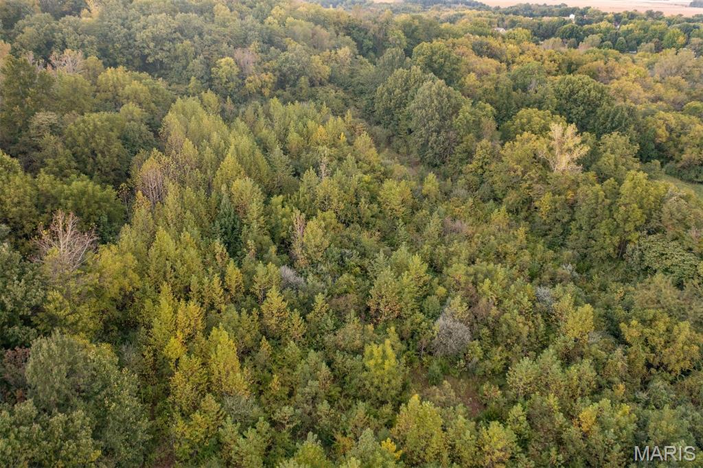 Photo of 941 Page Branch Road, Elsberry, MO 63343 (MLS # 26067224)