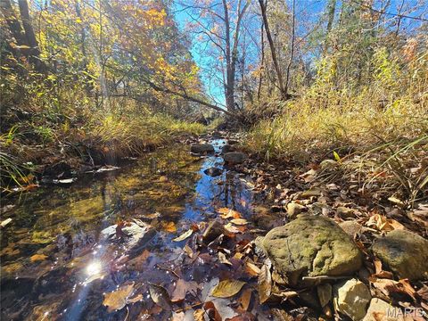 Photo of 42 Highway 32, Bismarck, MO 63624 (MLS # 25074389)