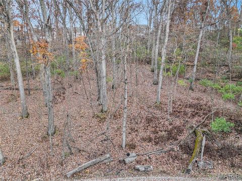 Tiny photo for 44 Mombert Drive, Ballwin, MO 63021 (MLS # 25076840)