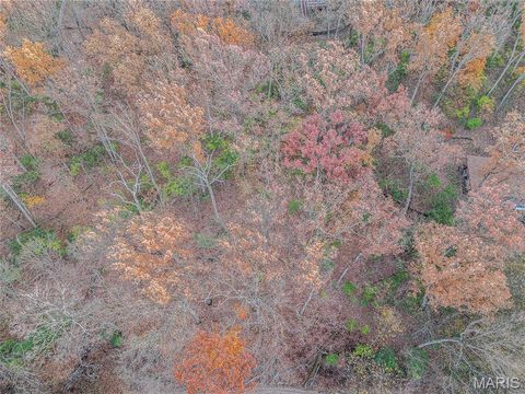 Tiny photo for 44 Mombert Drive, Ballwin, MO 63021 (MLS # 25076840)