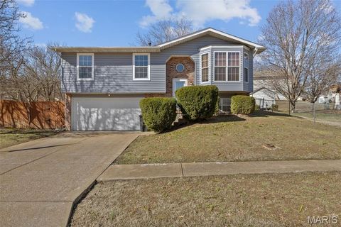 5005 Owls Nest Drive Imperial MO 63052