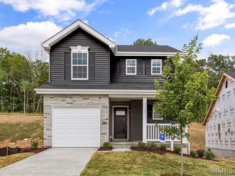 1076 Vardon Meadows Drive Union MO 63084