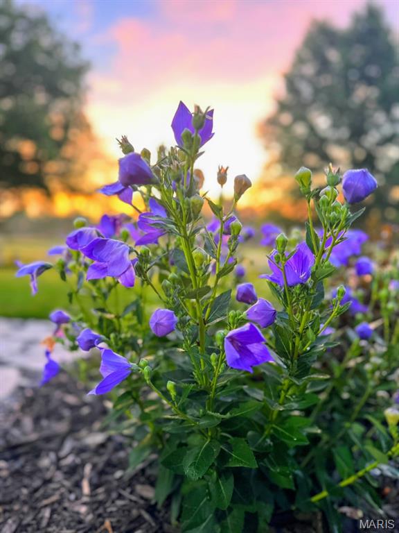 Vlgs At Dardenne McCluer Village #2 - Residential