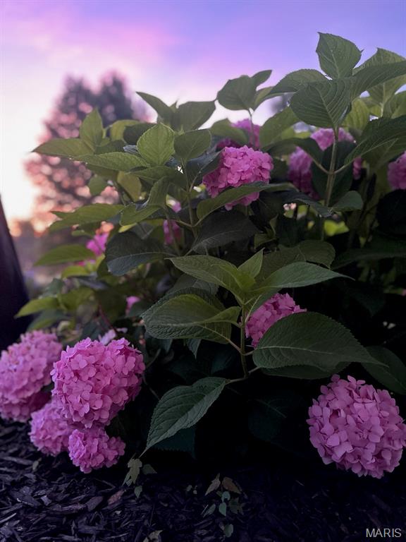 Vlgs At Dardenne McCluer Village #2 - Residential