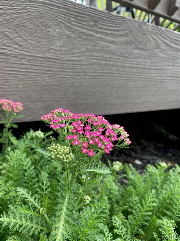 Vlgs At Dardenne McCluer Village #2 - Residential