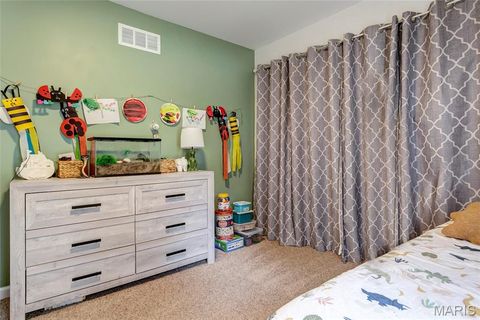 Tiny photo for 204 Lewis Street, Wentzville, MO 63385 (MLS # 26017966)