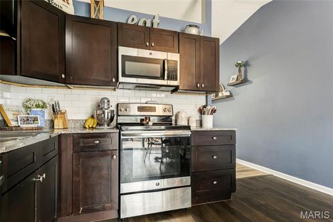 Tiny photo for 204 Lewis Street, Wentzville, MO 63385 (MLS # 26017966)