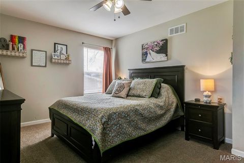 Tiny photo for 204 Lewis Street, Wentzville, MO 63385 (MLS # 26017966)