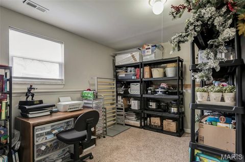 Tiny photo for 204 Lewis Street, Wentzville, MO 63385 (MLS # 26017966)