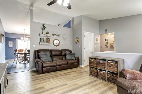 Tiny photo for 204 Lewis Street, Wentzville, MO 63385 (MLS # 26017966)