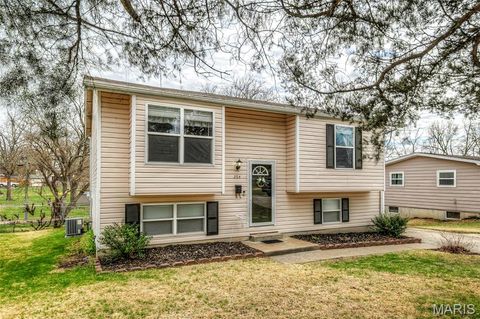 Tiny photo for 204 Lewis Street, Wentzville, MO 63385 (MLS # 26017966)