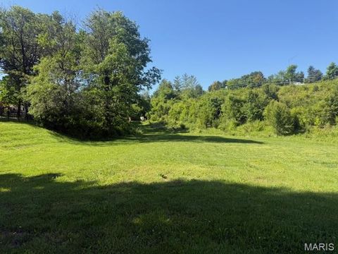 Photo of 36 Firefly Court, Manchester, MO 63021 (MLS # 26030977)