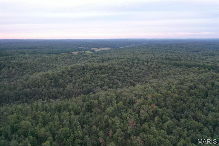 This excellent hunting property is located just south of Ellington, along County Road 636. The property features a couple openings that would be ideal food plot locations or build sites. A wet weather creek flows through the property providing a great seasonal water source for the abundant amount of wildlife in the area. Electric is nearby and the only thing missing is your dream home or weekend getaway cabin. Current River and Clearwater Lake are also nearby where you can enjoy amazing fishing, floating and boating opportunities. If this is not enough acreage to get the job done on a mature whitetail or big Tom turkey, there are thousands of acres of Missouri Conservation ground and Mark Twain National Forest in the area. Whether you are looking for a place to build or a place to get away and hunt, this is a must-see! Call today to schedule your own private tour.