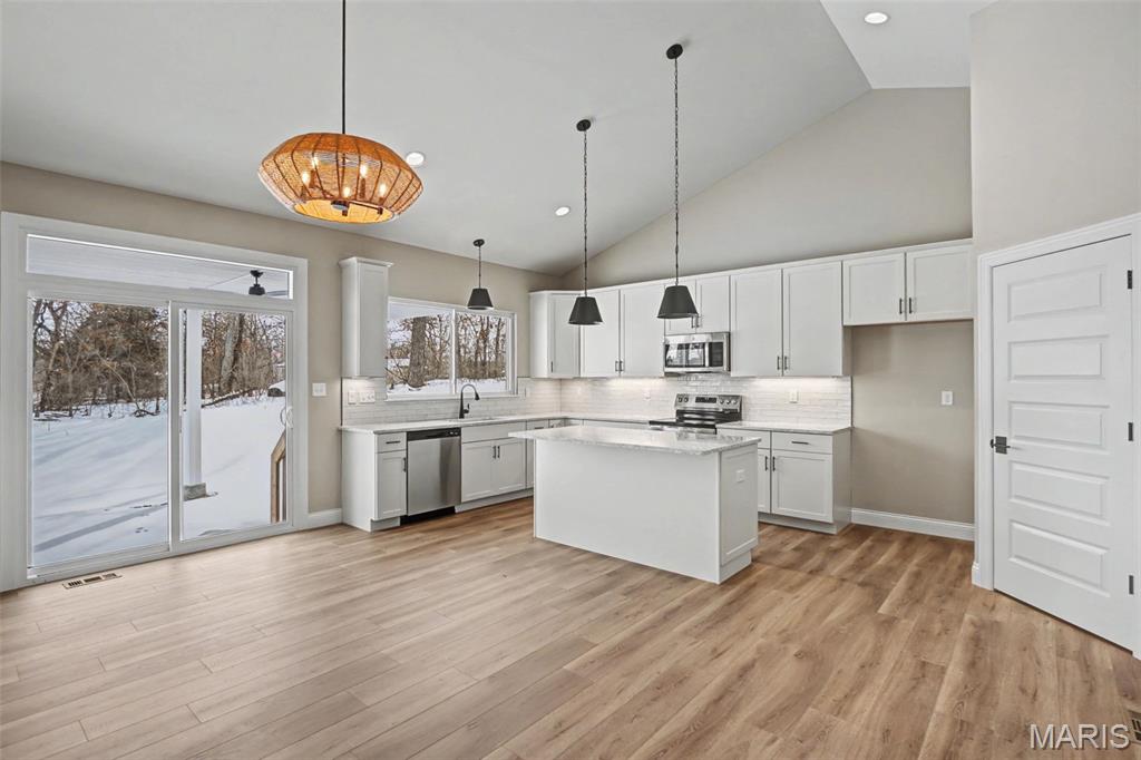 Arbor Valley #4 - Residential