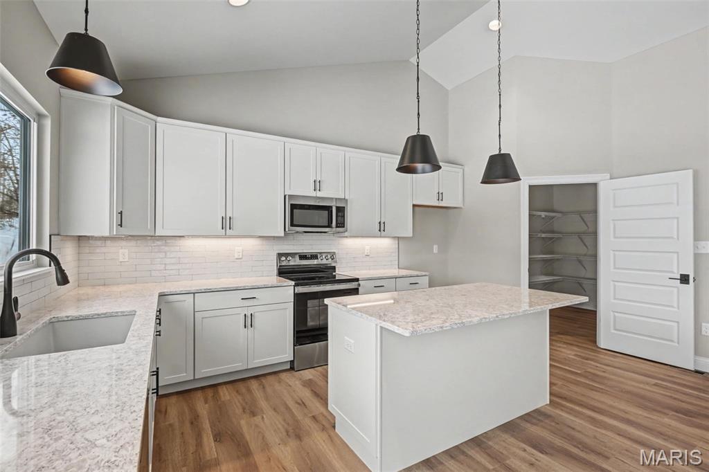 Arbor Valley #4 - Residential