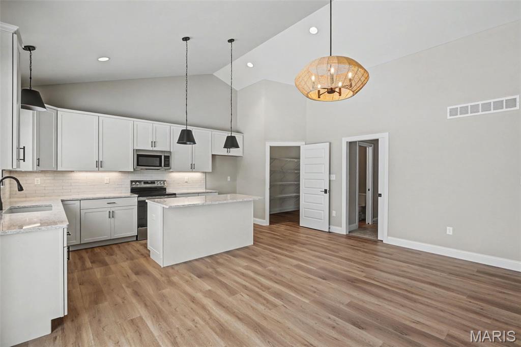 Arbor Valley #4 - Residential