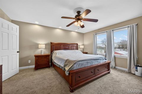 Tiny photo for 16 Brittany Court, Troy, MO 63379 (MLS # 26007538)