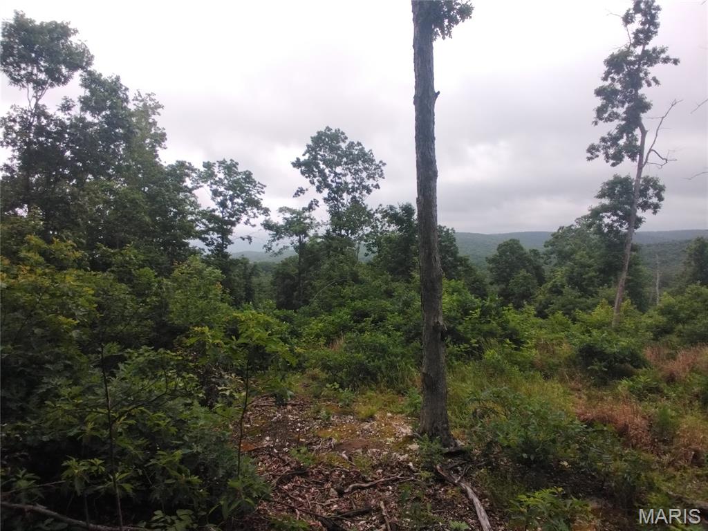 Photo 1 of 5 — 5 Tract 5 Off Hwy O, Belleview, MO 63623