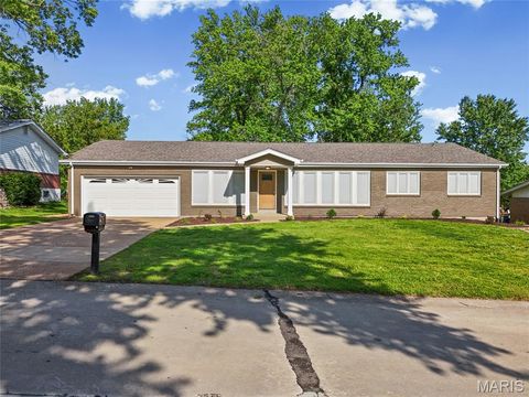 Photo of 762 Ambois Drive, Creve Coeur, MO 63141 (MLS # 26027312)