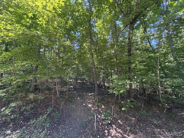 Raintree Plantation - Land