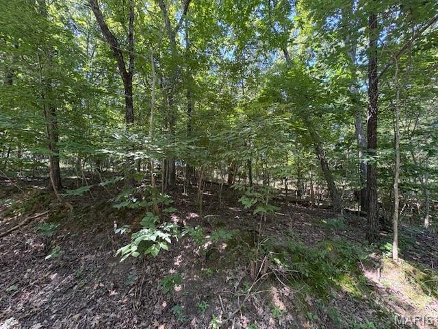 Raintree Plantation - Land