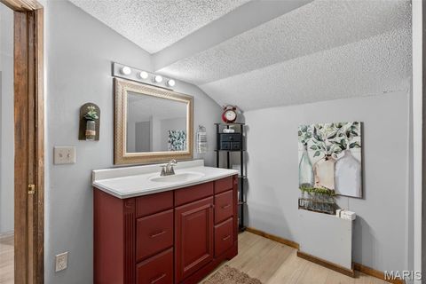 Tiny photo for 2294 Highway TT, St Clair, MO 63077 (MLS # 26026616)