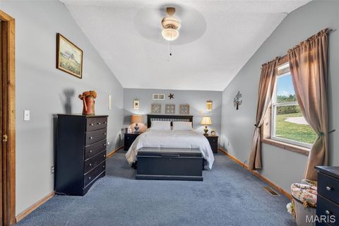 Tiny photo for 2294 Highway TT, St Clair, MO 63077 (MLS # 26026616)