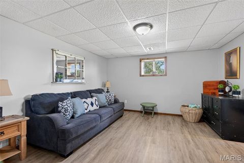 Tiny photo for 2294 Highway TT, St Clair, MO 63077 (MLS # 26026616)