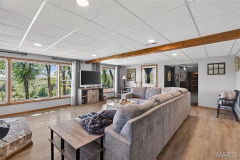 Tiny photo for 2294 Highway TT, St Clair, MO 63077 (MLS # 26026616)