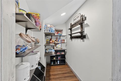 Tiny photo for 2294 Highway TT, St Clair, MO 63077 (MLS # 26026616)