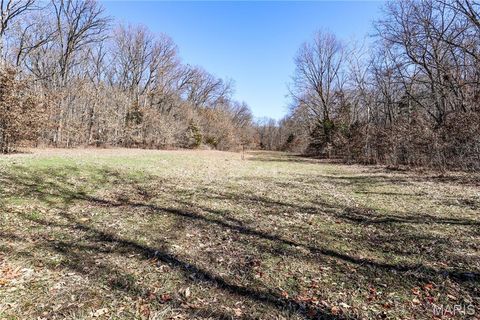 Tiny photo for 15585 Red Oak Trail Trl, Monroe City, MO 63456 (MLS # 26013984)