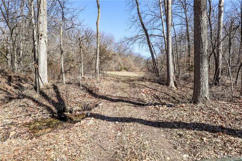 Tiny photo for 15585 Red Oak Trail Trl, Monroe City, MO 63456 (MLS # 26013984)