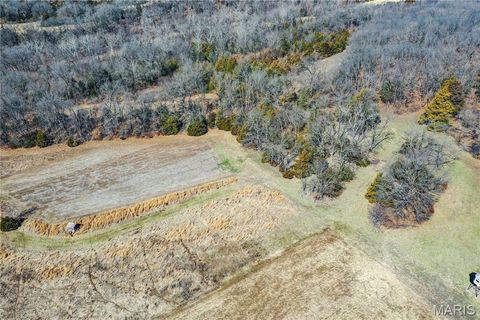 Tiny photo for 15585 Red Oak Trail Trl, Monroe City, MO 63456 (MLS # 26013984)