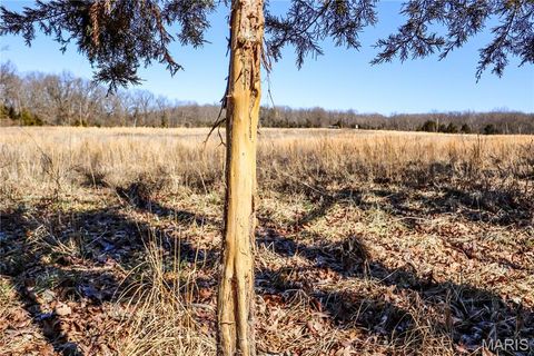 Tiny photo for 15585 Red Oak Trail Trl, Monroe City, MO 63456 (MLS # 26013984)