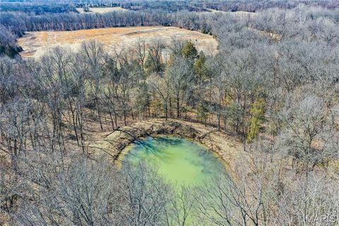 Tiny photo for 15585 Red Oak Trail Trl, Monroe City, MO 63456 (MLS # 26013984)