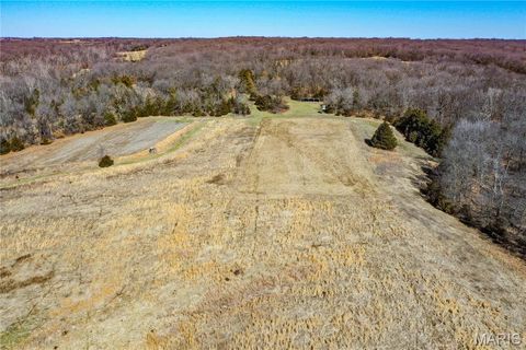 Tiny photo for 15585 Red Oak Trail Trl, Monroe City, MO 63456 (MLS # 26013984)
