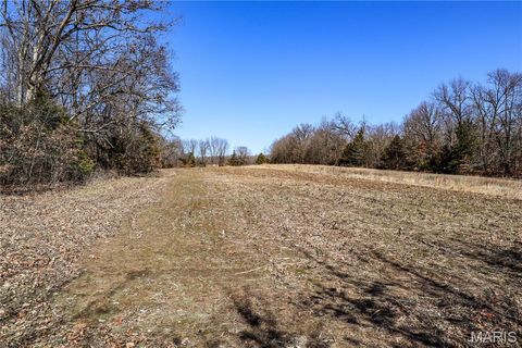Tiny photo for 15585 Red Oak Trail Trl, Monroe City, MO 63456 (MLS # 26013984)