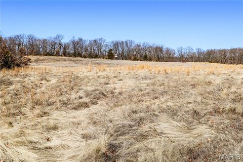Tiny photo for 15585 Red Oak Trail Trl, Monroe City, MO 63456 (MLS # 26013984)