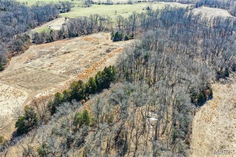 Tiny photo for 15585 Red Oak Trail Trl, Monroe City, MO 63456 (MLS # 26013984)