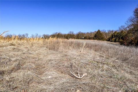 Tiny photo for 15585 Red Oak Trail Trl, Monroe City, MO 63456 (MLS # 26013984)