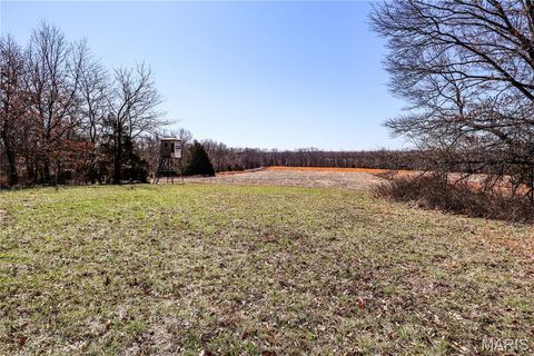 Tiny photo for 15585 Red Oak Trail Trl, Monroe City, MO 63456 (MLS # 26013984)